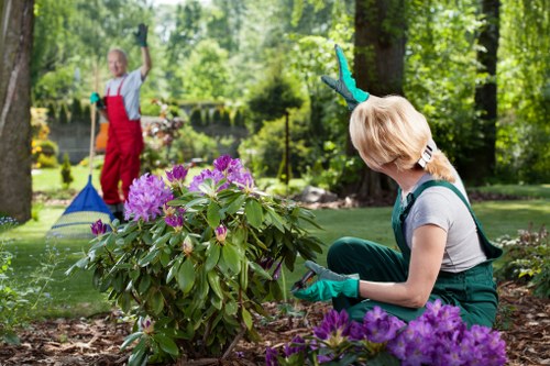 Professional lawn mower servicing a garden