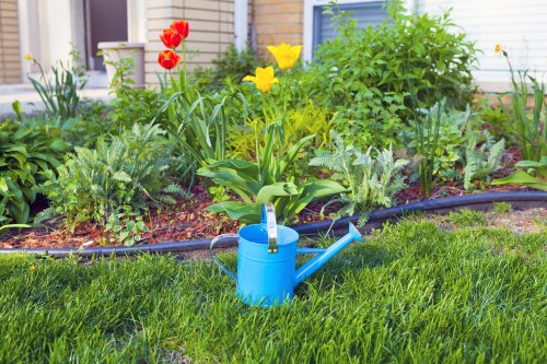Kilburn gardener tending a small urban garden