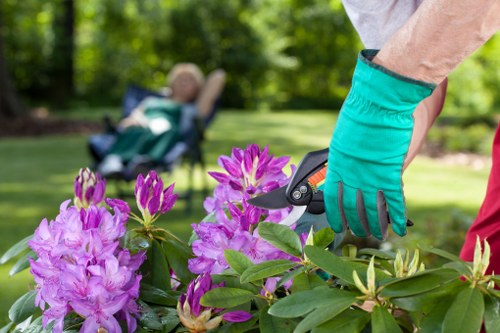 Variety of lawn mowers for different grass types