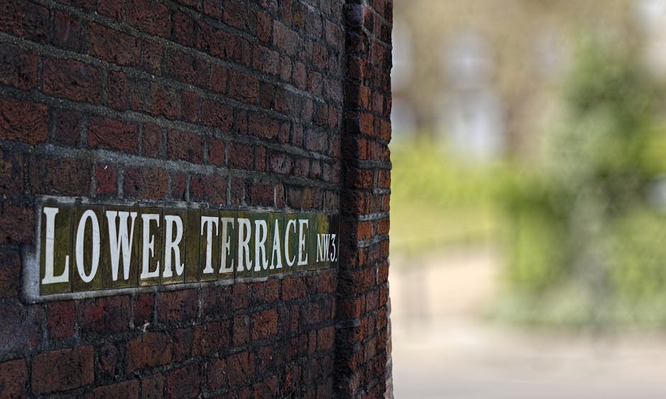 A narrow urban street lined with small, well-maintained garden plots and potted plants outside terraced houses, with a cobblestone pathway gently sloping downward. The gardens feature a variety of gre